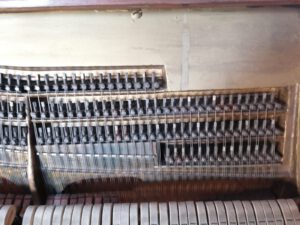 Crasselt Stimmstock